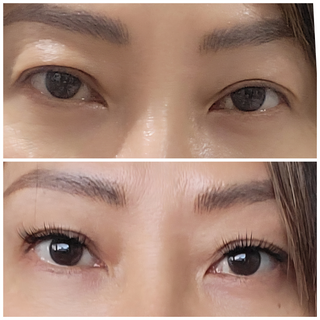 Pre-glued Cluster (No Glue Needed) All 4 Styles + FREE Non-Stick Applicator