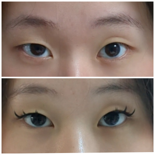 MangaMi Preglued Lashes